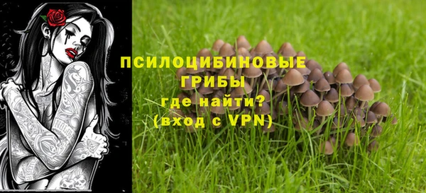 не бодяженный Надым