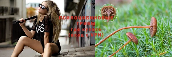 альфа пвп Наволоки