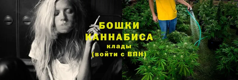 Каннабис Bruce Banner  Алдан 